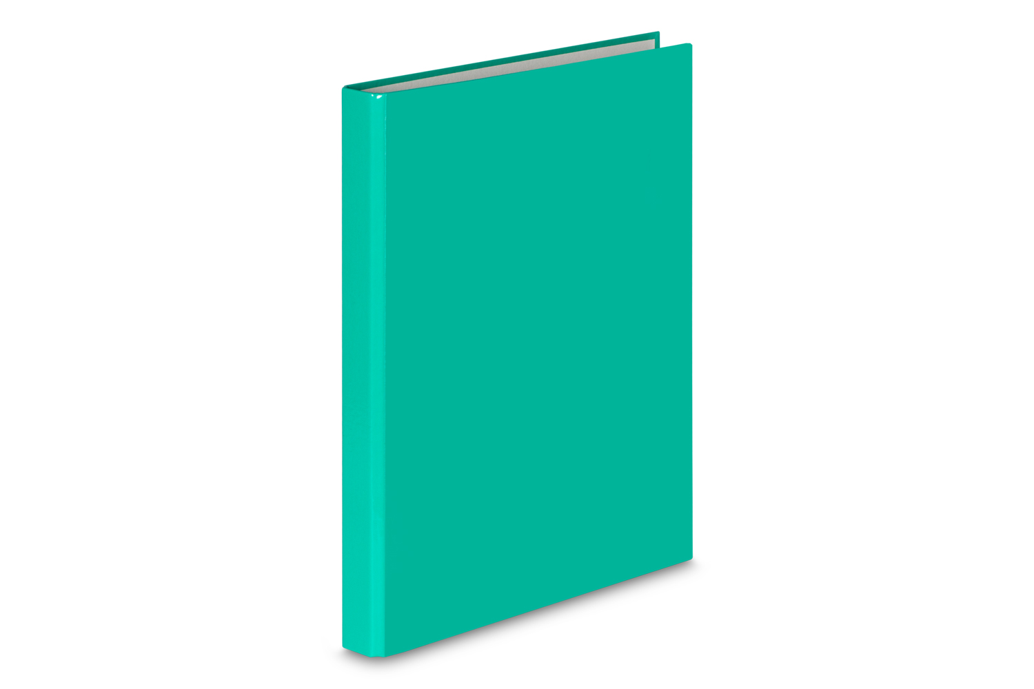 Segregator VauPe A4/25/4ringi turkusowy