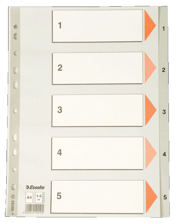 Przekładki numeryczne Esselte A4/1-5, szare