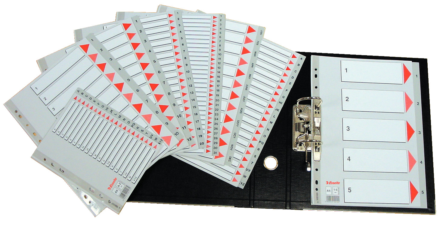 Przekładki numeryczne Esselte A4/1-20 szare
