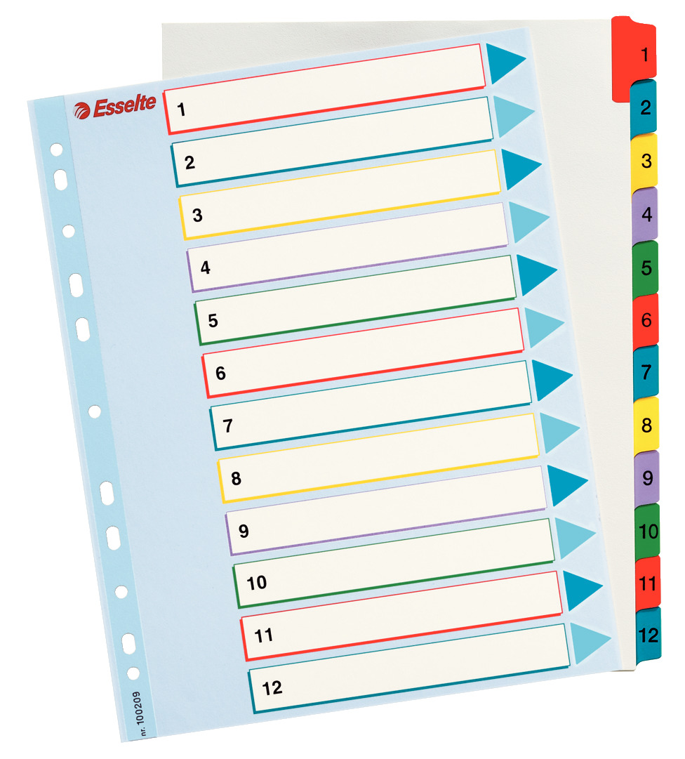Przekładki numeryczne Esselte Mylar Maxi A4+ 12k