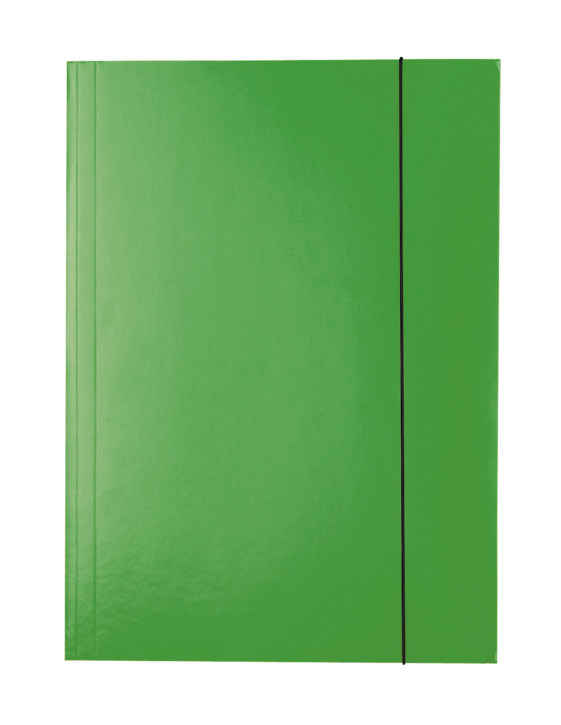 Teczka lakierowana z gumką Esselte zielona