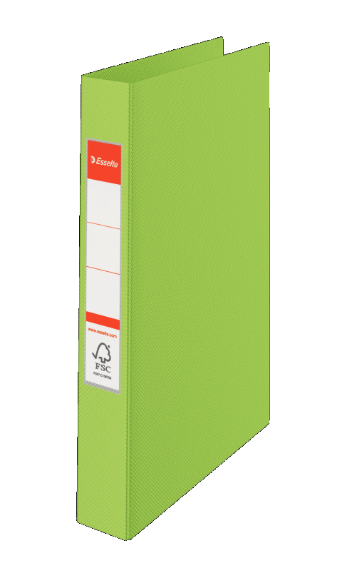 Segregator Esselte Vivida A4/42/2 zielony