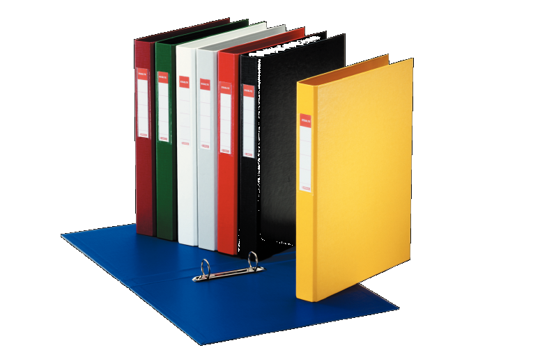 Segregator Esselte Vivida A4/42/2 bordowy