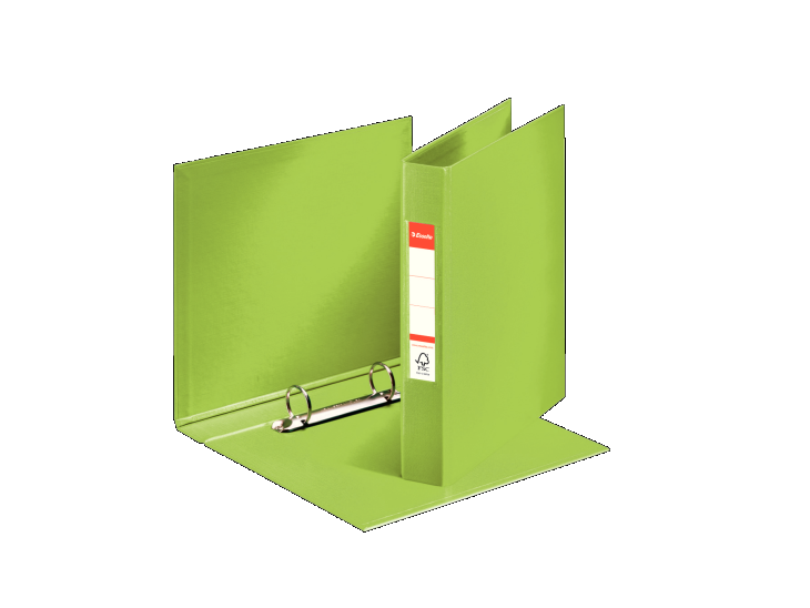 Segregator Esselte Vivida A5/40/2RR zielony