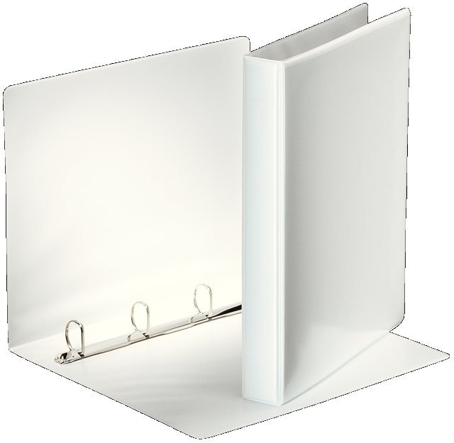 Segregator ofertowy A4/44/4DR Esselte Panorama biały