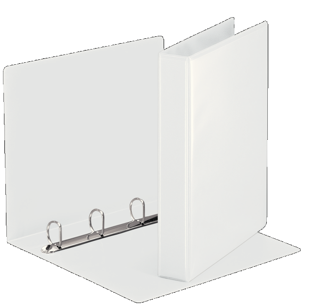 Segregator ofertowy A4/51/4DR Esselte Panorama biały