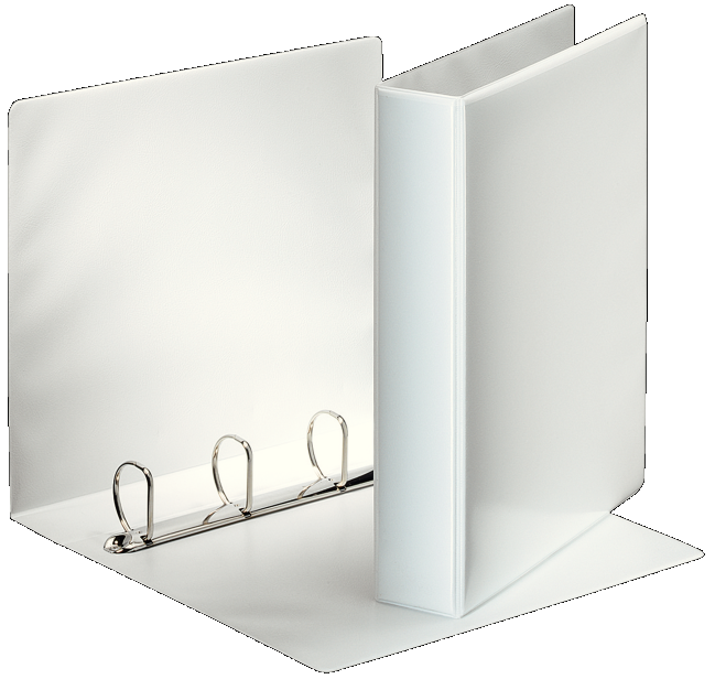 Segregator ofertowy A4/62/4DR Esselte Panorama biały