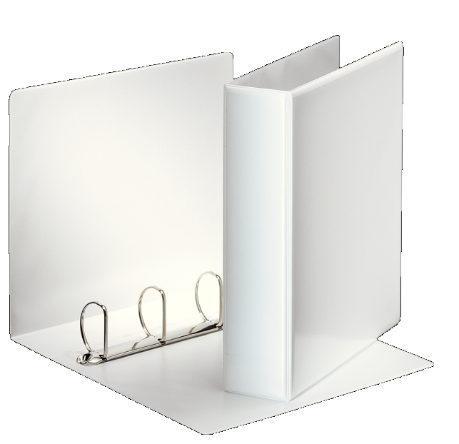 Segregator ofertowy A4/77/4DR Esselte Panorama biały