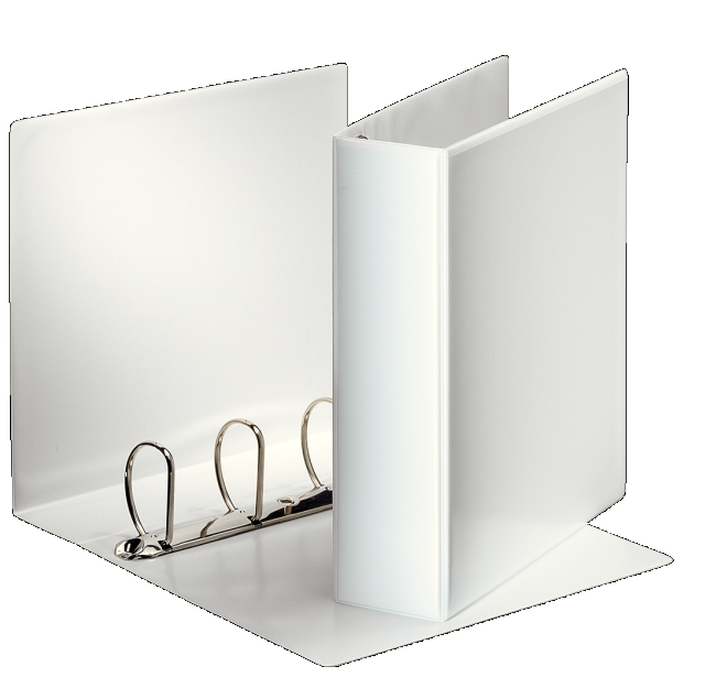 Segregator ofertowy A4/86/4DR Esselte Panorama biały