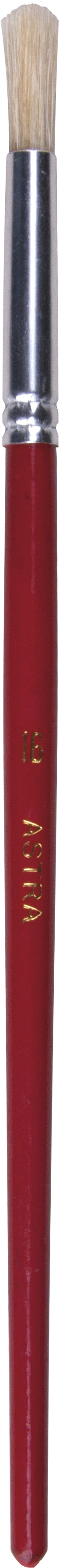 Pędzel szkolny okrągły Astra nr 16 53633909