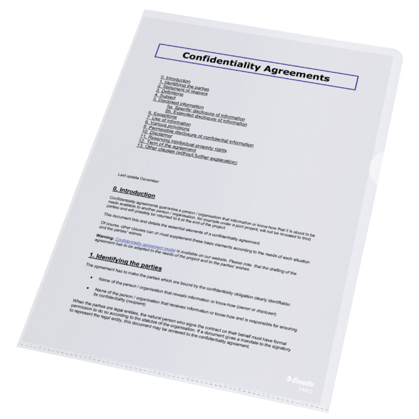 Ofertówka groszkowa L Esselte A4/100szt. 85mic