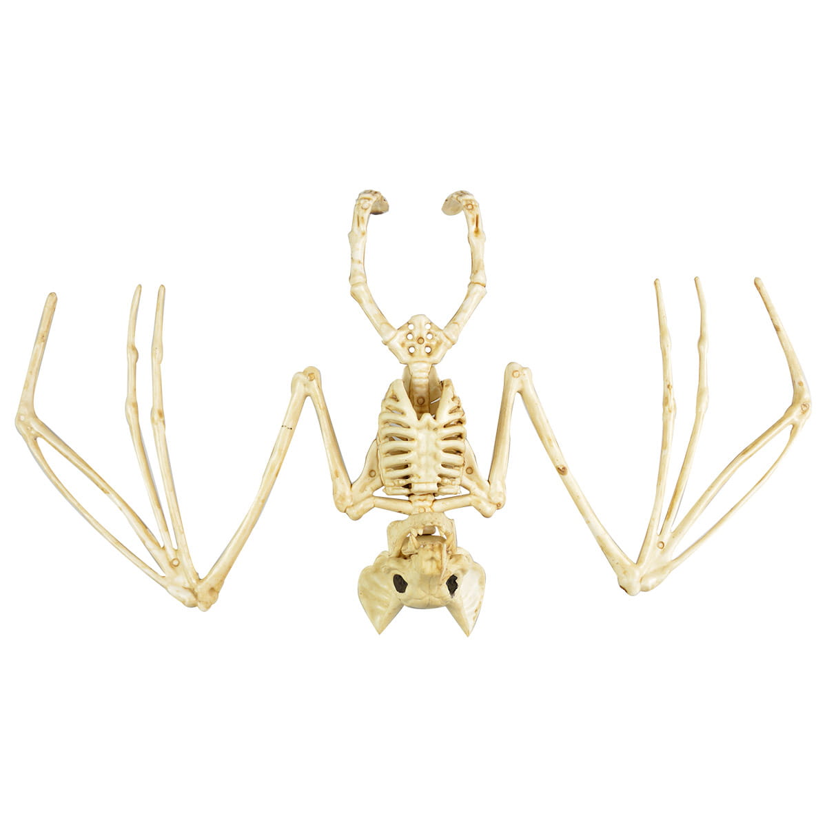 Szkielet nietoperza Halloween HA4841 Arpex