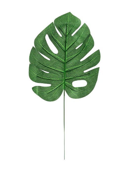 Liść monstery VC9227  Arpex