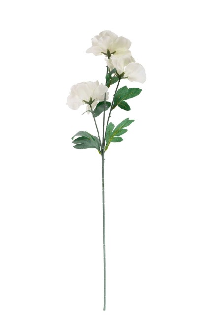 Peonia VC1007 Arpex