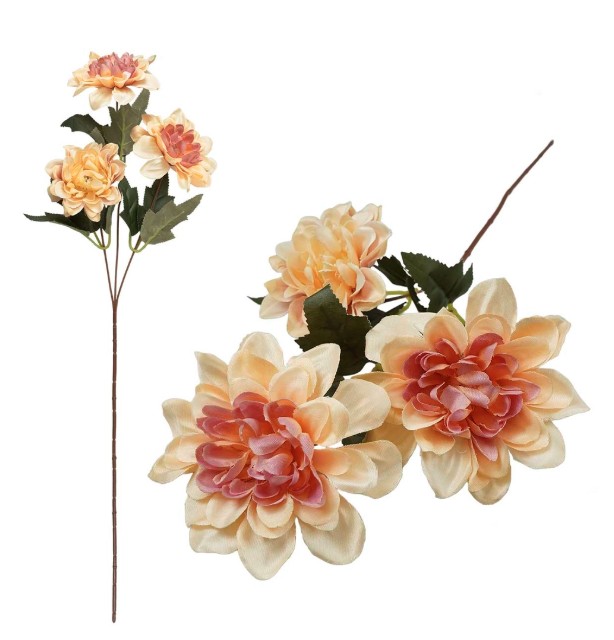 Dalia kwiaty (3) VC6408 Arpex