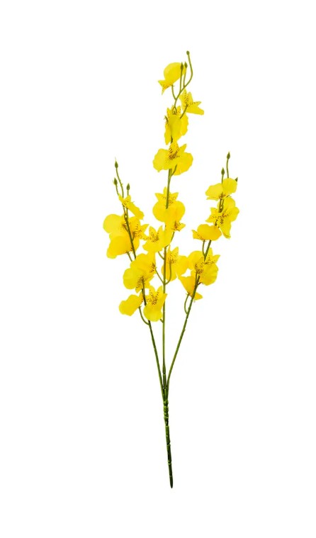 Gałązka storczyk mini VW8747 Arpex