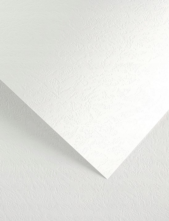 Karton ozdobny A4 20szt. skóra biały Argo 230g