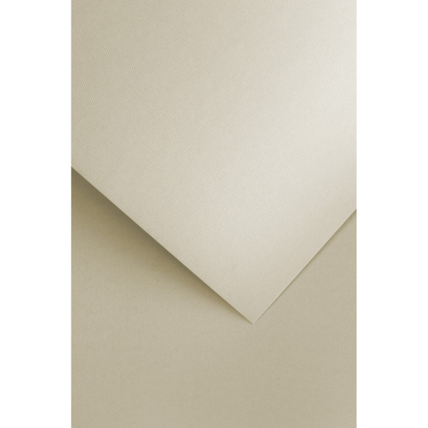 Papier wizytówkowy A4 Floryda beżowy 20szt. 250g. Argo