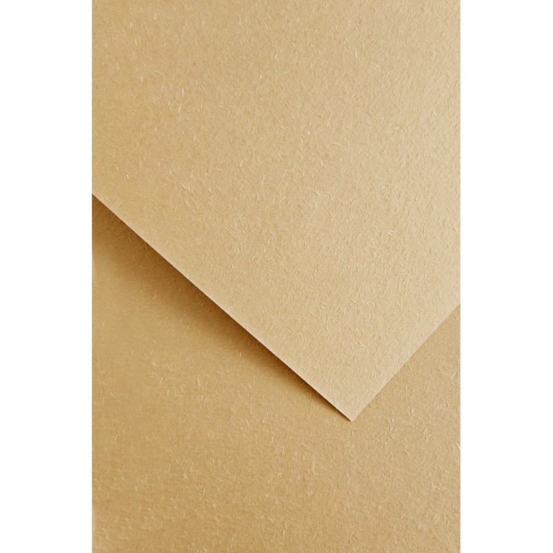 Karton ozdobny A4 (20) Wood beżowy 220g Argo [205613]