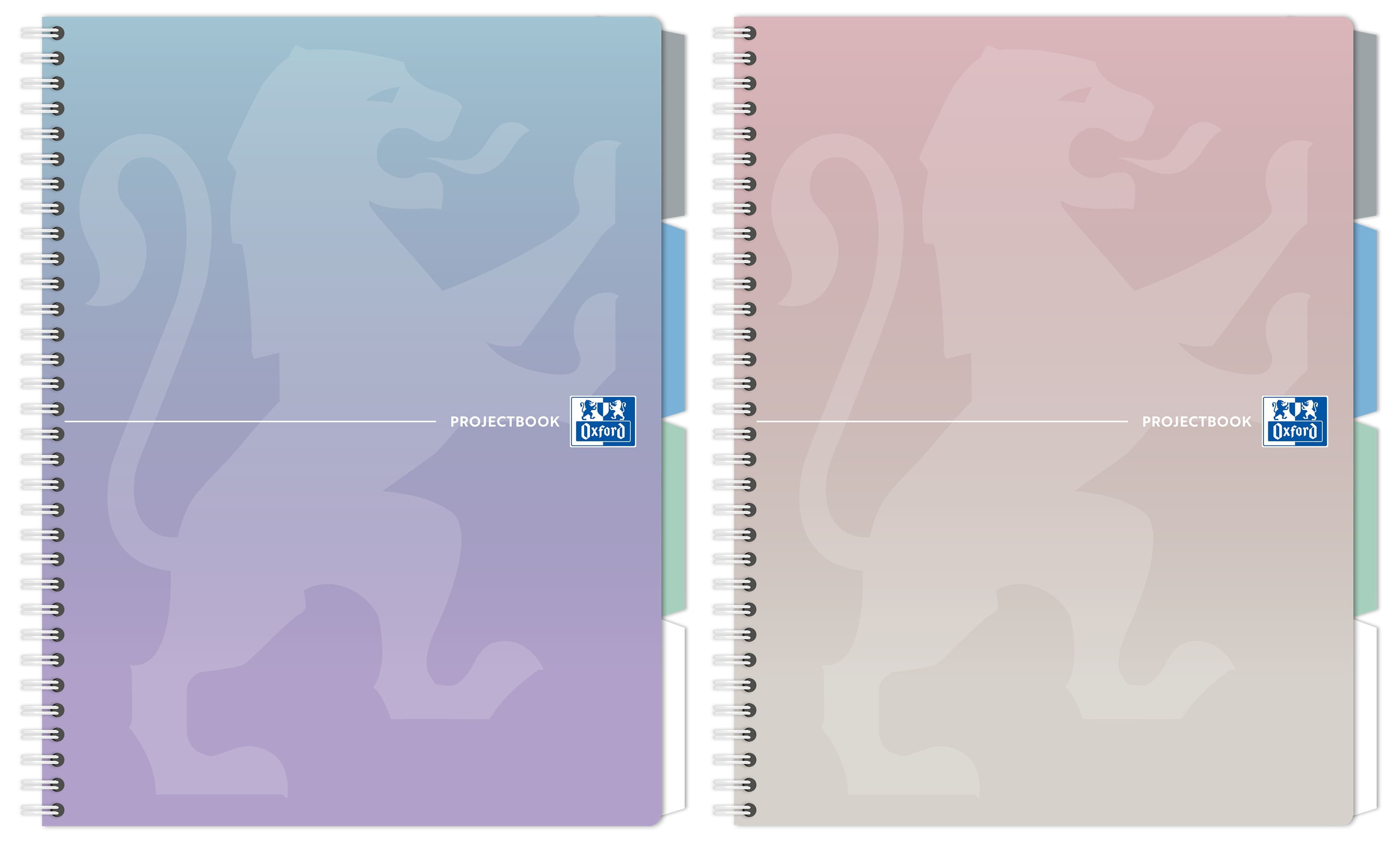 Kołozeszyt Oxford Projectbook B5/80k kr. mix pastelowy