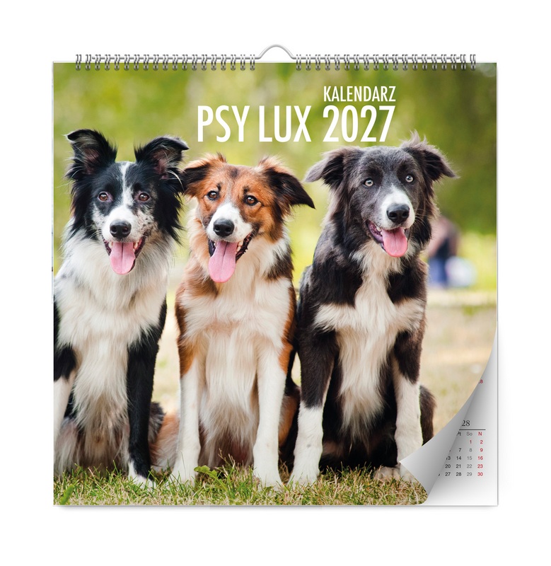 Kalendarz ścienny Psy Lux Kalpol