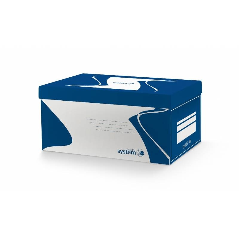 Pudło archiwizacyjne dno + wieko VauPe 538x342x300