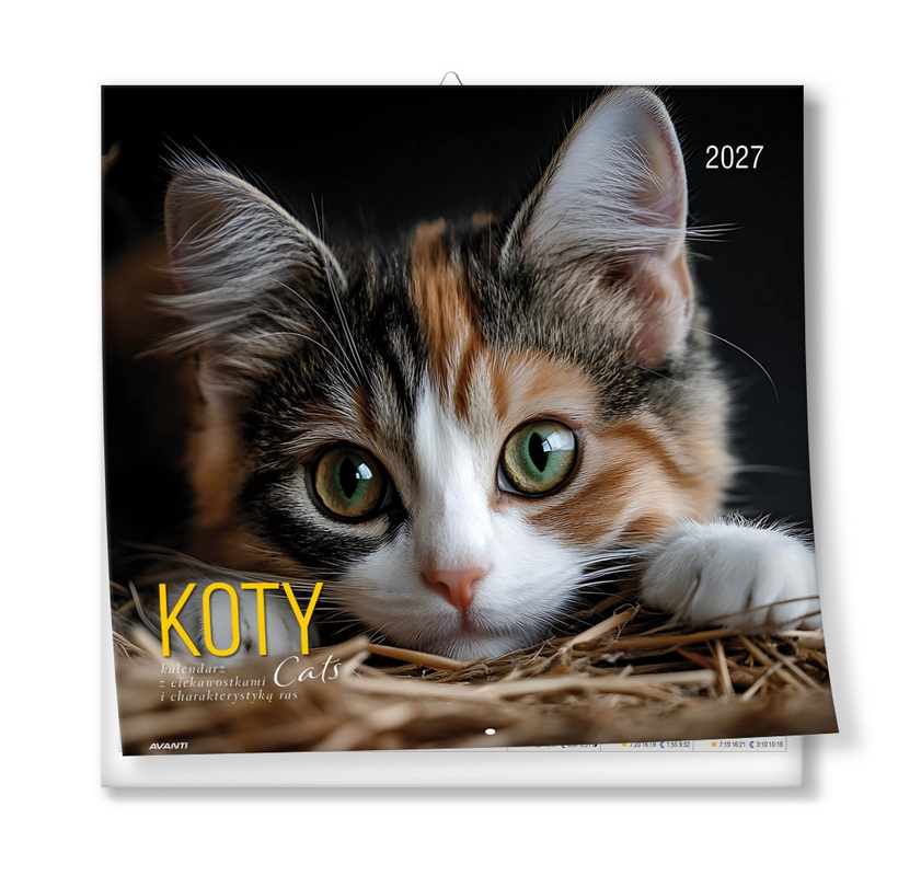 Kalendarz albumowy duży KAD-9 Koty Avanti