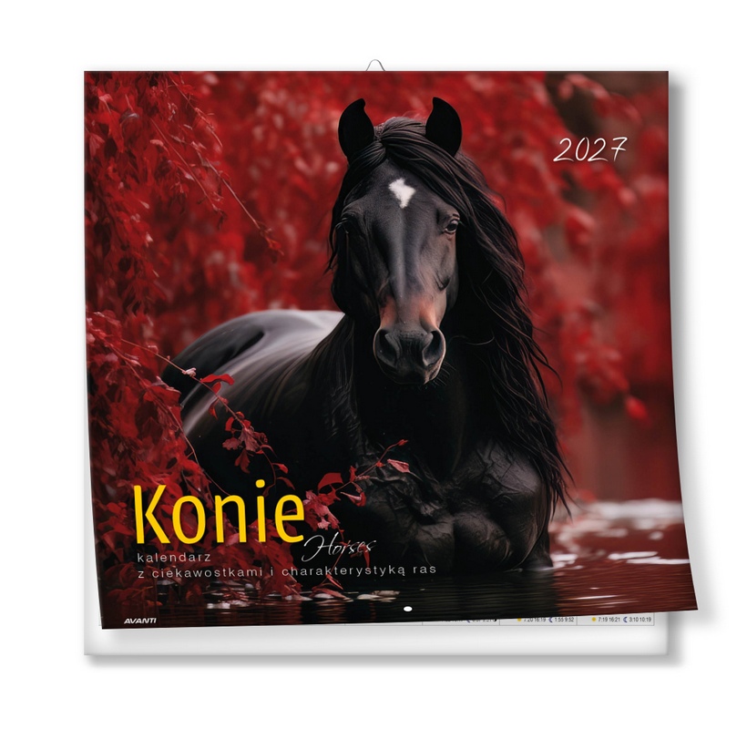 Kalendarz albumowy duży KAD-11 Konie Avanti