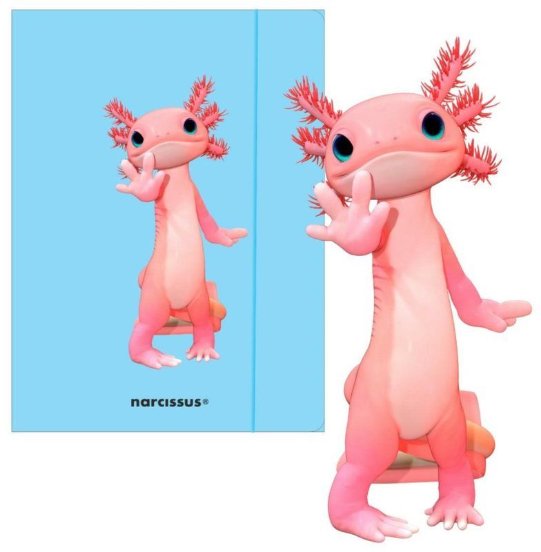 Teczka A4 z gumką Teddies & Aksolotl Narcissus Sztuka Rodzinna