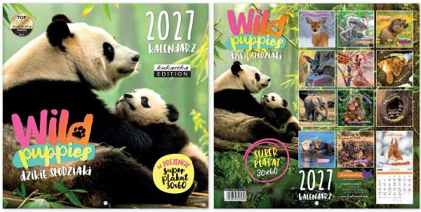 Kalendarz Classic Q Wild Puppies Passion Cards
