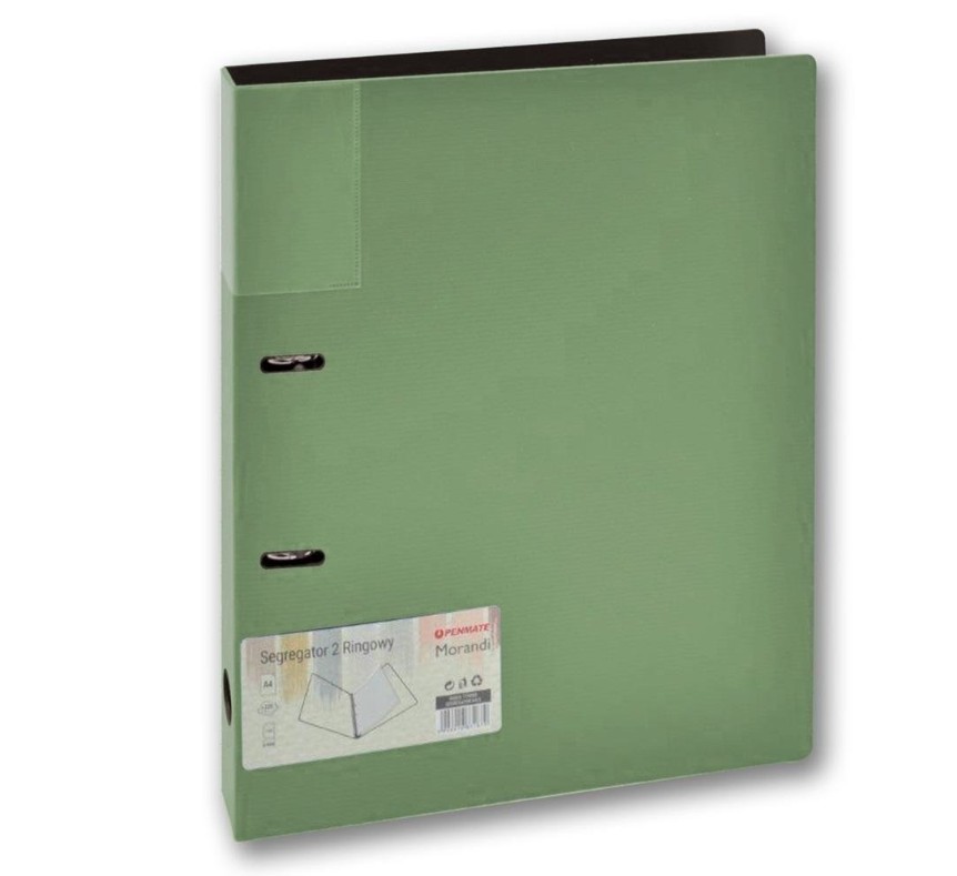 Segregator A4/2 2R z kieszenią MORANDI zielony TT8885 Tadeo