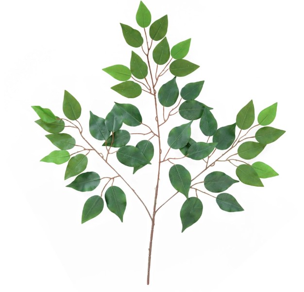 Gałązka benjamina VC3612 Arpex