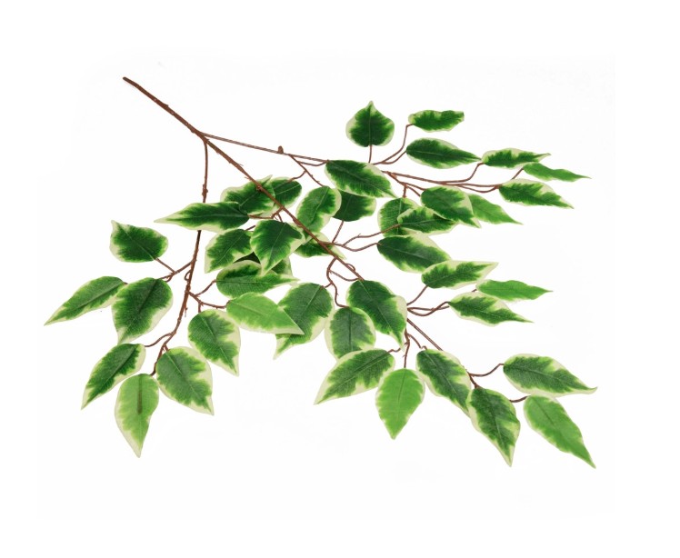 Gałązka benjamina cieniowana VC3629 Arpex
