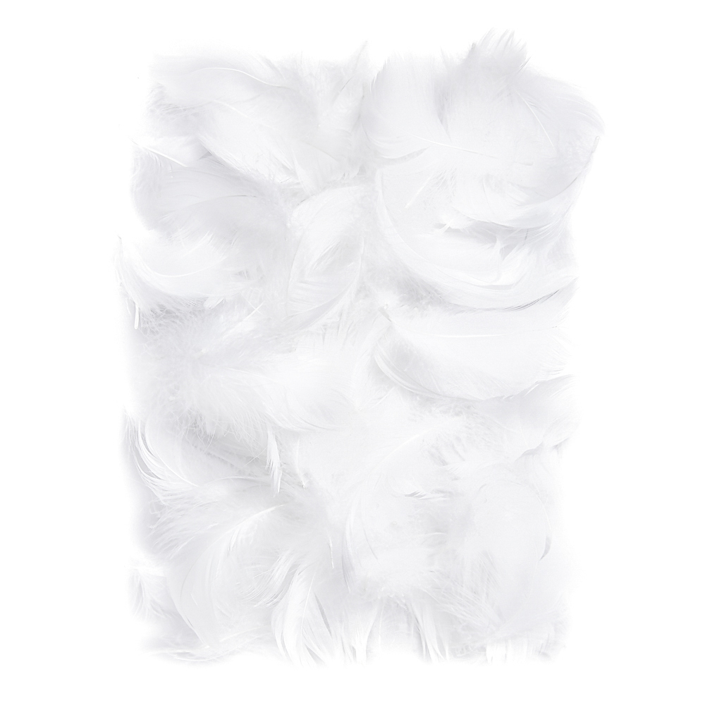 Piórka 10 g  (5 - 12 cm) Białe CEPI-012 Dalprint