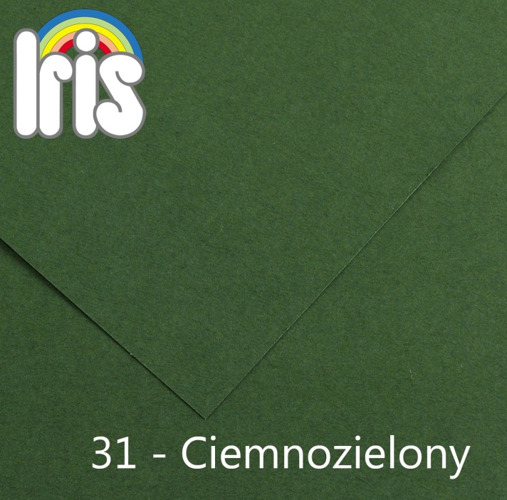 Karton 70x100 235/240g ciemnozielony Canson