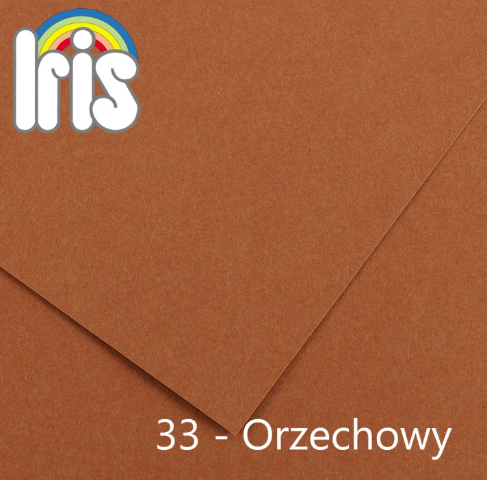 Karton 70x100 235/240g brązowy/orzech Canson