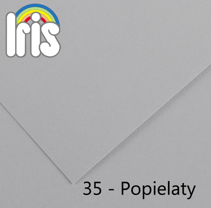 Karton 70x100 235/240g popielaty Canson