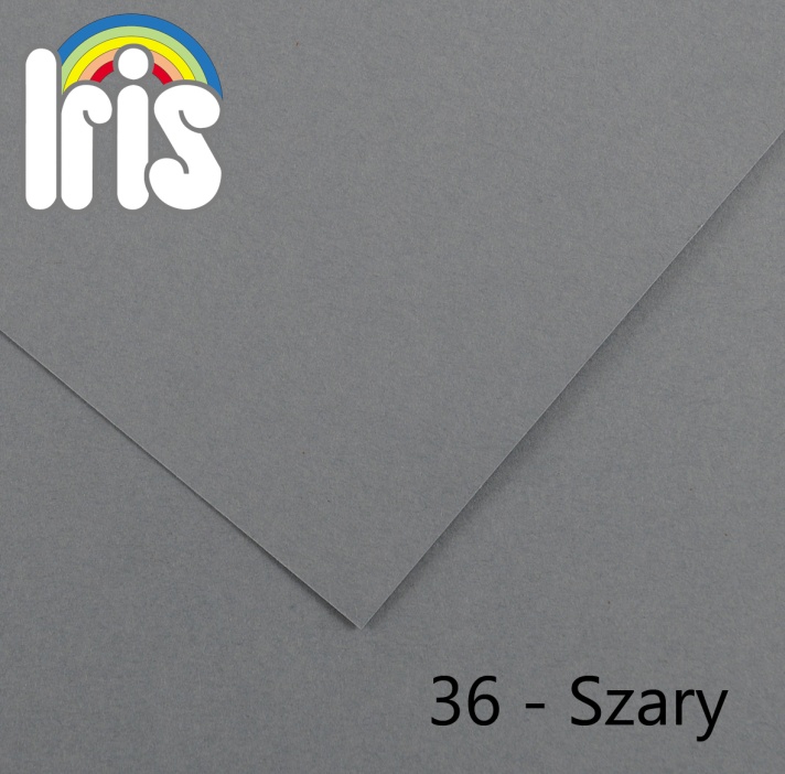 Karton 70x100 240g 25ark. szary Canson