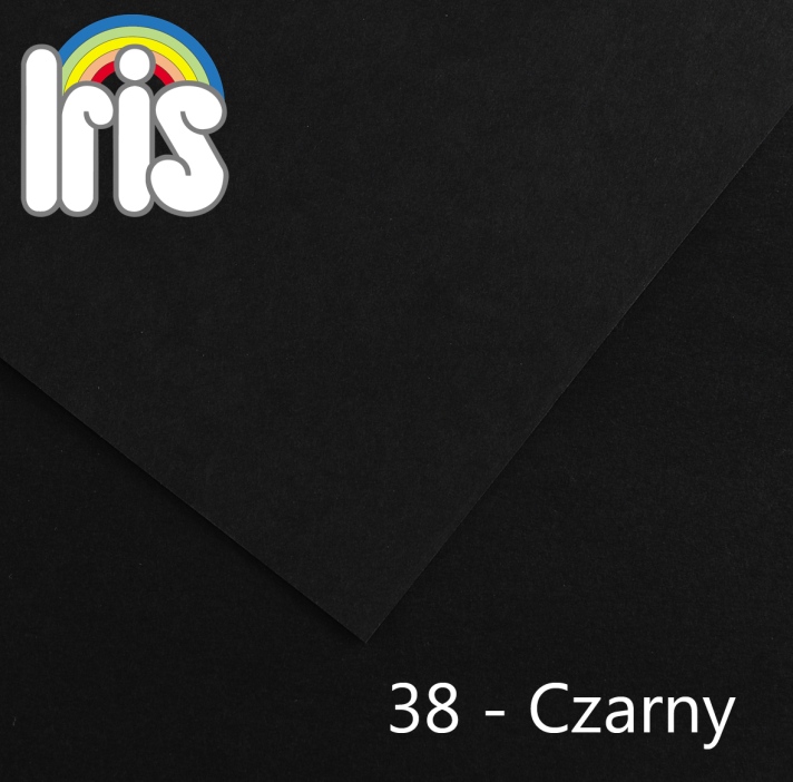 Karton 70x100 235/240g czarny Canson