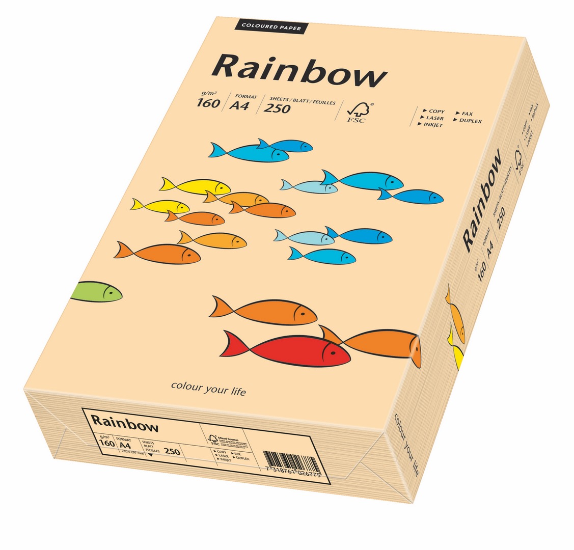 Papier ksero Rainbow A4 160g łososiowy R40 Papyrus