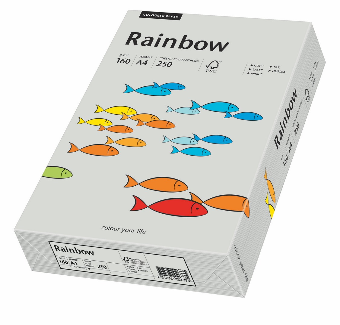Papier ksero Rainbow A4 160g szary R96 Papyrus