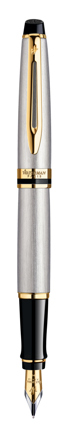 Pióro wieczne Waterman Expert Stalowy GT (F)