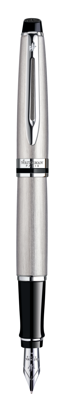 Pióro wieczne Waterman Expert Stalowy CT (F)