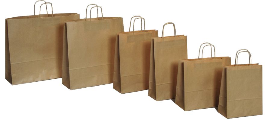 Papierowa torebka Lanex P2/10szt. 24x14x8 cm