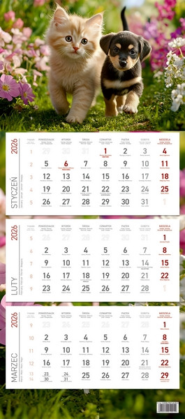 Kalendarz trójdzielny ekonomiczny PRZYJACIELE Wokół Nas KS045B