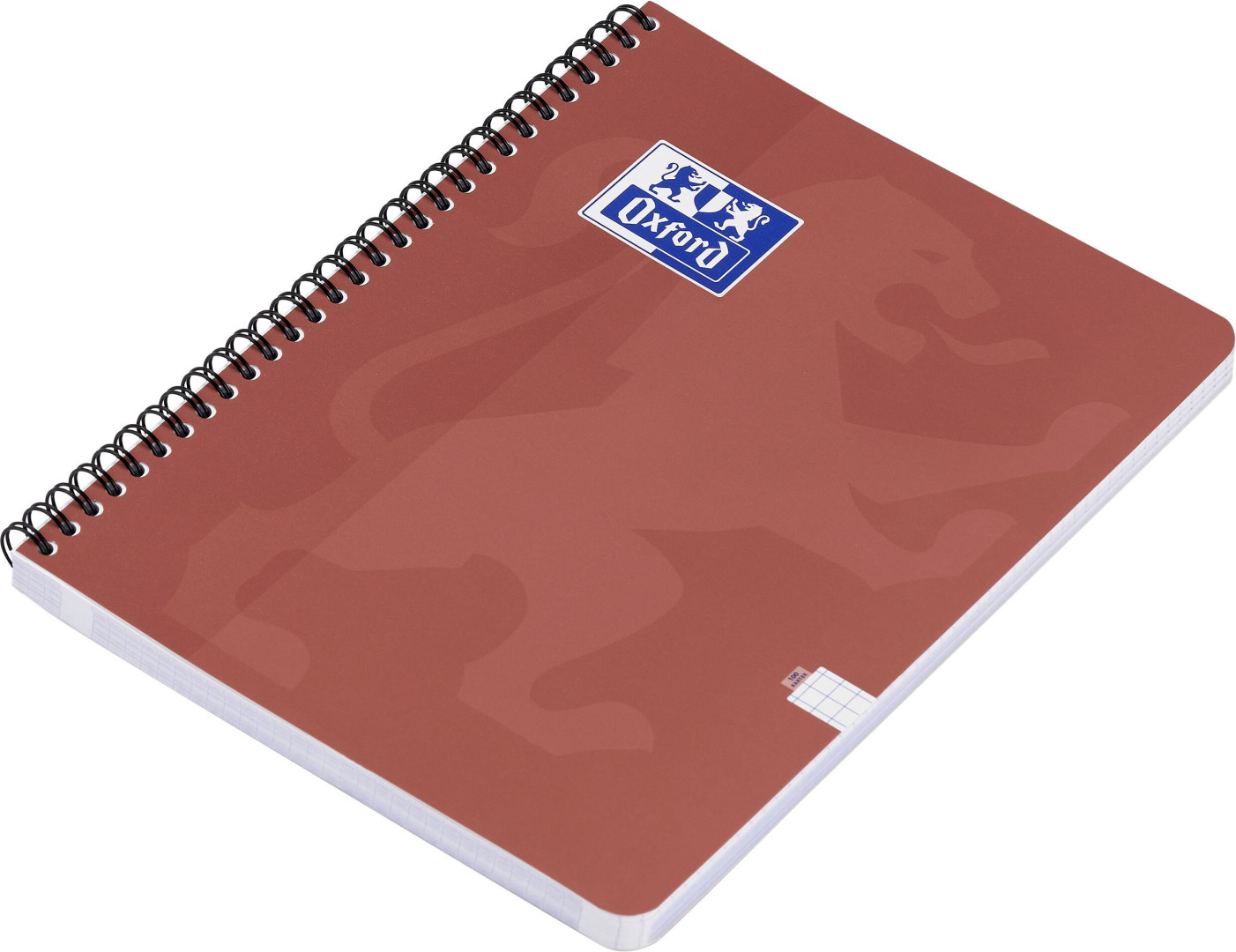 Kołozeszyt A4/100k kratka 90g 2 spirale Oxford Touch Trend