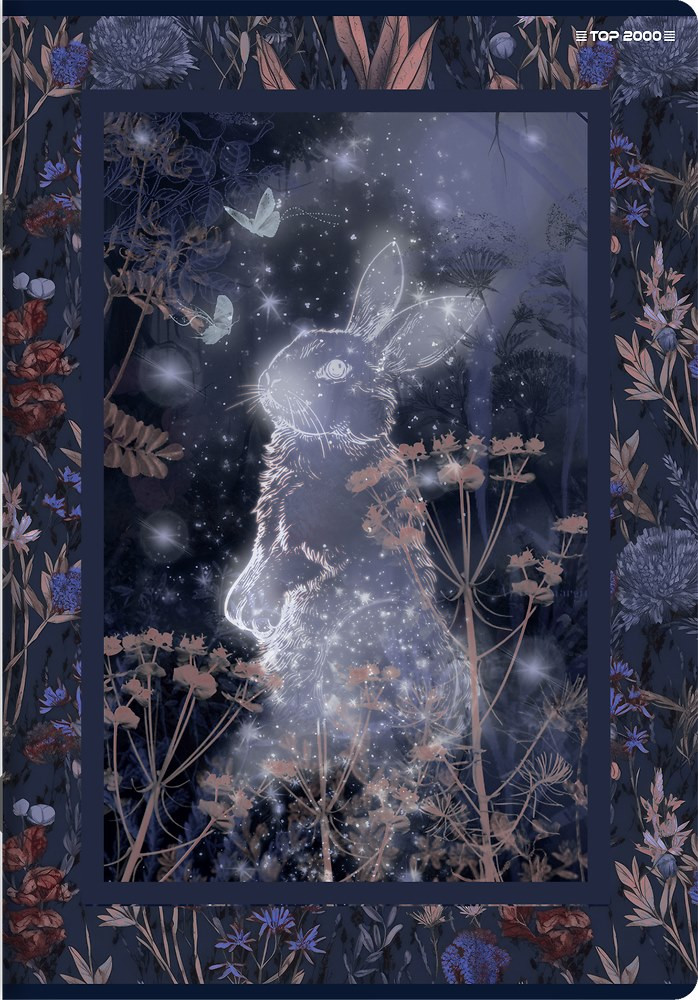 Zeszyt  A4/60k kratka Fairytrale 70g TOP2000