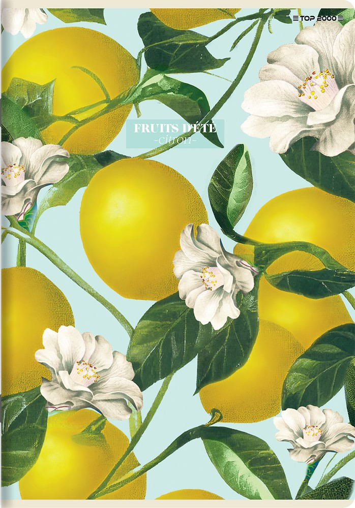 Zeszyt A4/60k kratka Summer 70g TOP2000