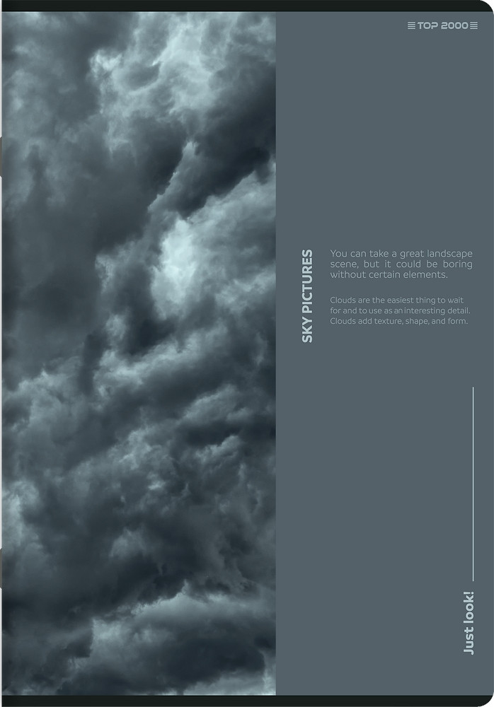 Zeszyt A4/80k kratka Birds Eye 70g TOP2000