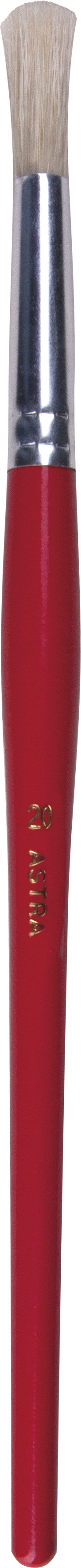 Pędzel szkolny okrągły Astra nr 20 53633911